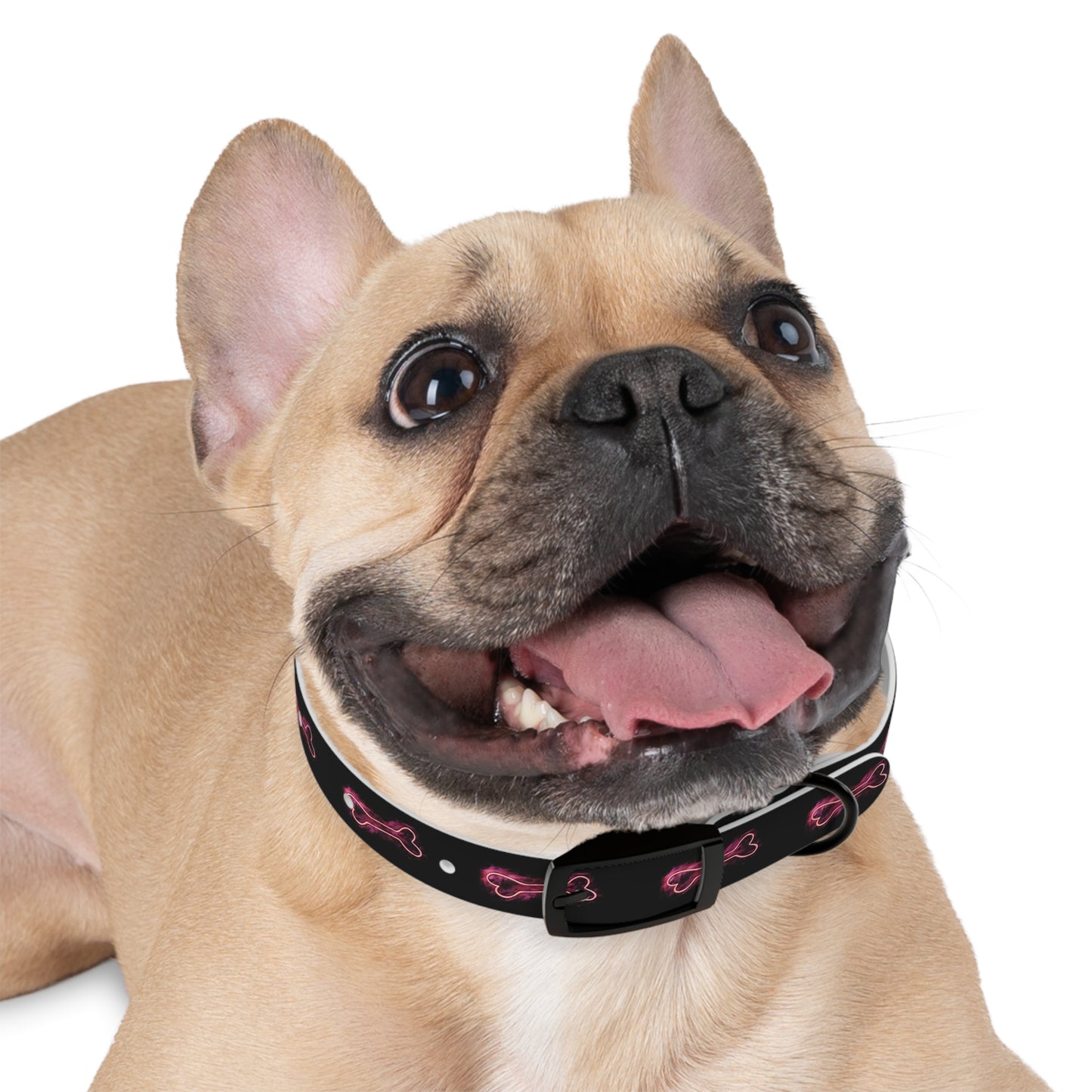 Winter’s Glow - Dog Collar - Neon Bone