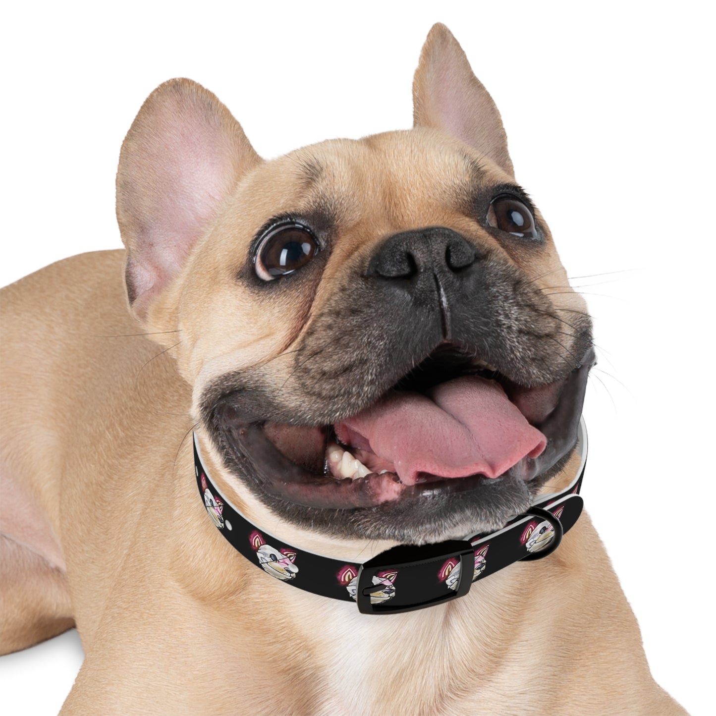 Winter’s Glow- Dog Collar