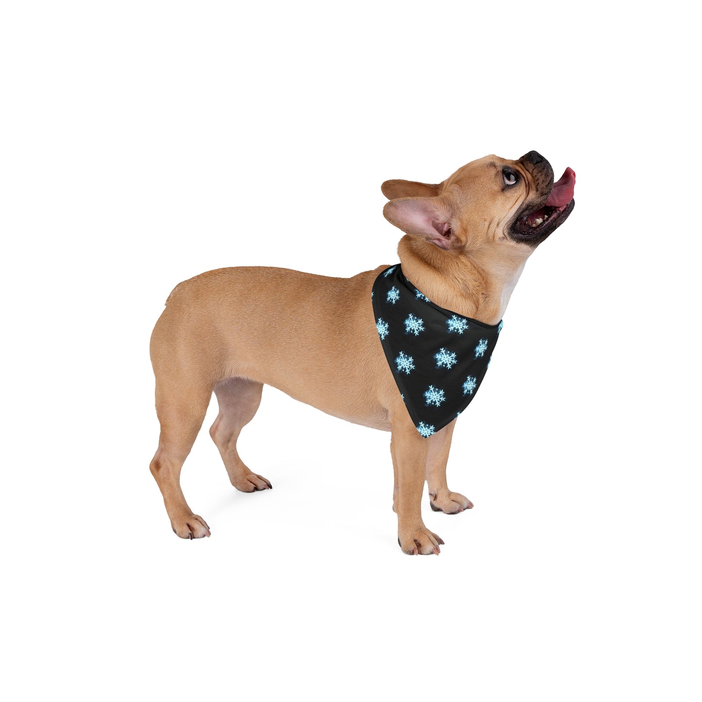 Winter’s Glow - Pet Bandana - Snowflakes