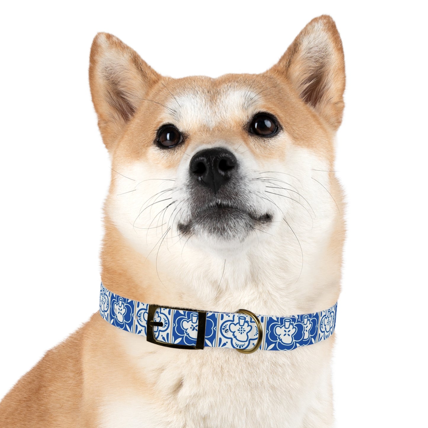BoredTea x Bored Art Not Club | Dog Collar